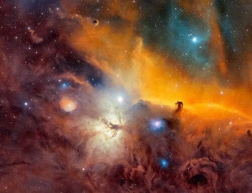 Astrophotographer spends 115 hours capturing Horsehead Nebula in striking detail with backyard telescope