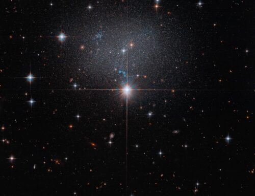 Hubble Spies Faint Irregular Galaxy