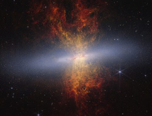 Millions of Stars in Cigar Galaxy