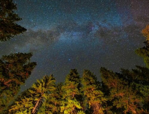 Light pollution may be erasing millions of dollars in value at US dark-sky parks
